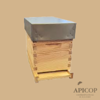 Ruchette complète Dadant 5 C en carton