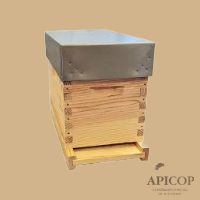 Ruchette complète Dadant 6 C