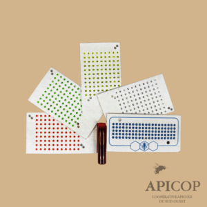 Coffret complet 5 cartes couleurs