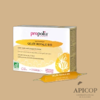 Ampoules de gelée royale Bio