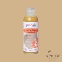 Shampooing traitant BIO Propolis/Miel 200 ml