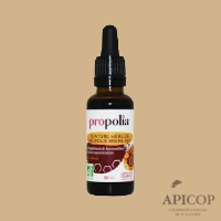 Teinture mère de propolis certifiée BIO - 30 ml
