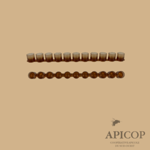 Barrette de cupules