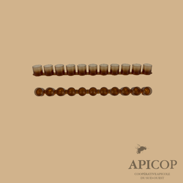 Barrette de cupules