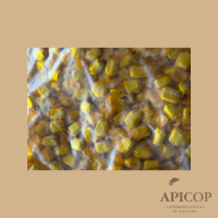 photo Bonbon au miel