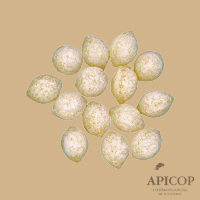 Bonbon fourré Miel 30 % de miel - sac de 3 kg