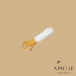 Gants en cuir fleur - taille12
