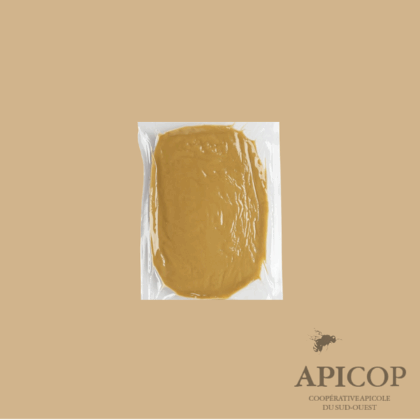 Pâte hyperprotéinée à 25% - la poche de 450g