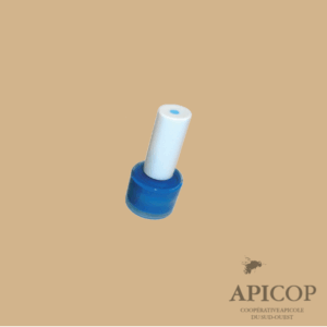Flacon peinture reine bleu