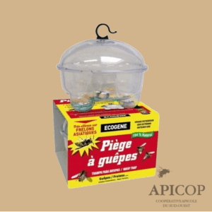 Piège à guêpes et frelons