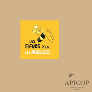 Mélange de fleurs nourrissantes pour abeilles - 25m2